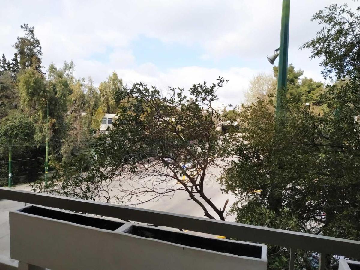 Fully Renovated, Family-Friendly Apartment, Next To A Huge Green Park, In Athens Center Eksteriør billede